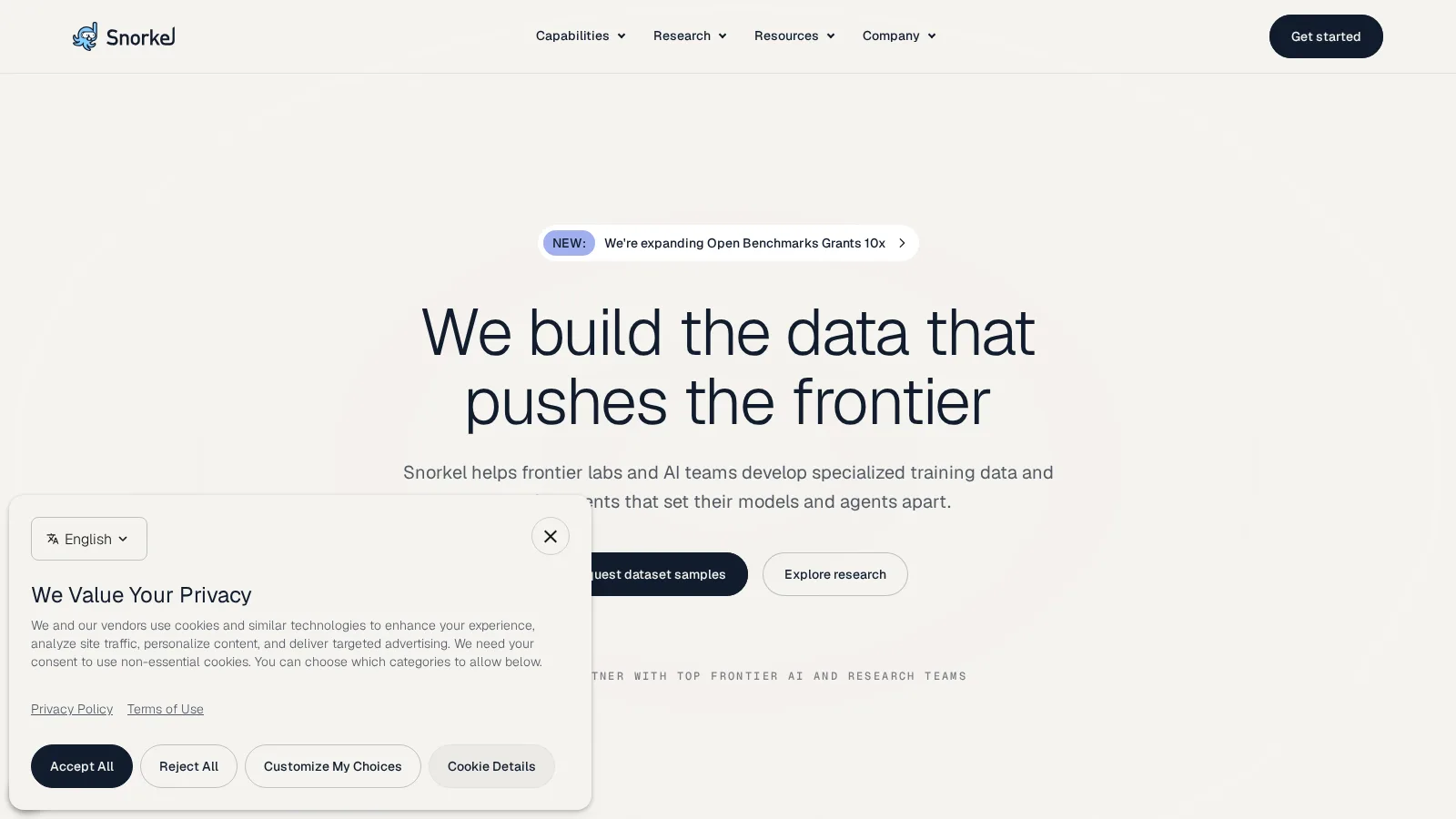 Snorkel AI — скриншот